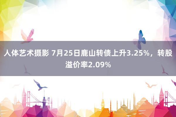   人体艺术摄影 7月25日鹿山转债上升3.25%，转股溢价率2.09%