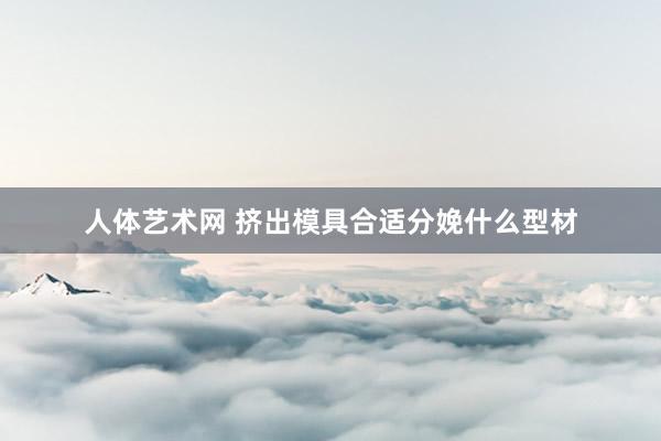   人体艺术网 挤出模具合适分娩什么型材