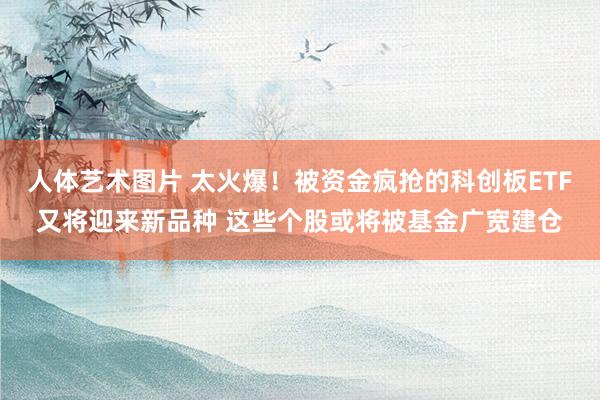 人体艺术图片 太火爆！被资金疯抢的科创板ETF又将迎来新品种 这些个股或将被基金广宽建仓