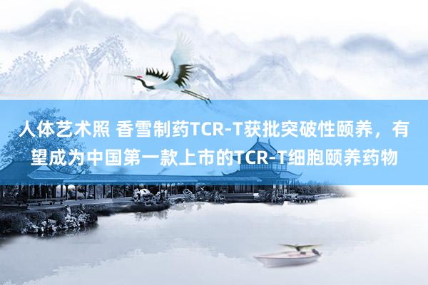 人体艺术照 香雪制药TCR-T获批突破性颐养，<a href=