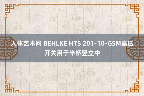 人体艺术网 BEHLKE HTS 201-10-GSM高压开关用于半桥竖立中