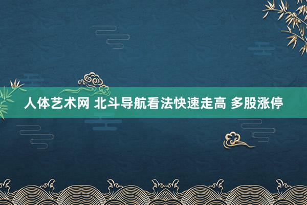 人体艺术网 北斗导航看法快速走高 多股涨停