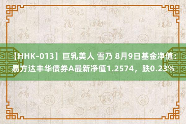   【HHK-013】巨乳美人 雪乃 8月9日基金净值：易方达丰华债券A最新净值1.2574，跌0.23%