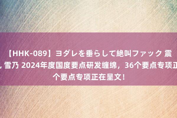 【HHK-089】ヨダレを垂らして絶叫ファック 震える巨乳 雪乃 2024年度国度要点研发缠绵，36个要点专项正在呈文！