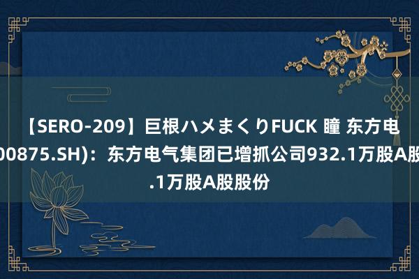   【SERO-209】巨根ハメまくりFUCK 瞳 东方电气(600875.SH)：东方电气集团已增抓公司932.1万股A股股份