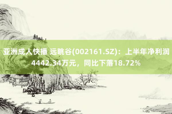   亚洲成人快播 远眺谷(002161.SZ)：上半年净利润4442.34万元，同比下落18.72%