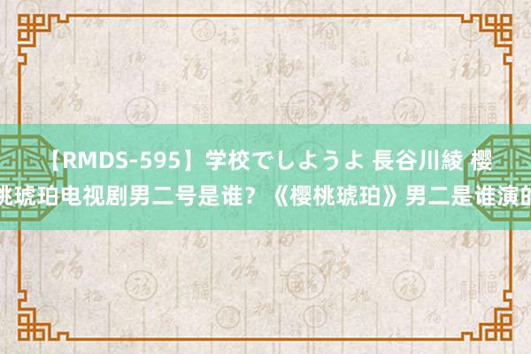 【RMDS-595】学校でしようよ 長谷川綾 樱桃琥珀电视剧男二号是谁？《樱桃琥珀》男二是谁演的