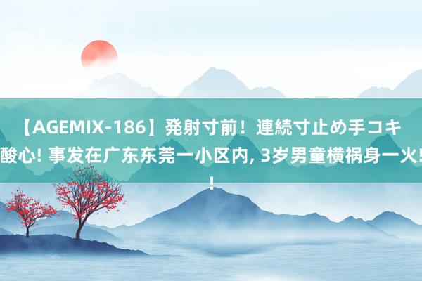 【AGEMIX-186】発射寸前！連続寸止め手コキ 酸心! 事发在广东东莞一小区内， 3岁男童横祸身一火!