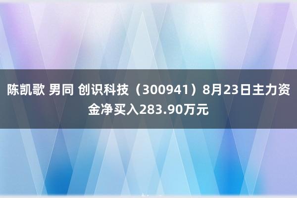   陈凯歌 男同 创识科技（300941）8月23日主力资金净买入283.90万元