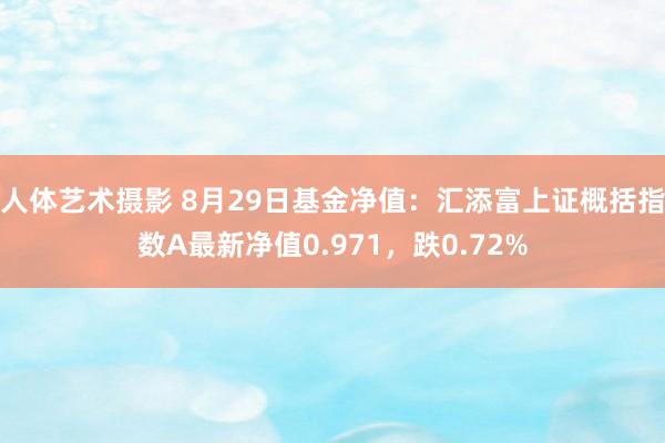   人体艺术摄影 8月29日基金净值：汇添富上证概括指数A最新净值0.971，跌0.72%