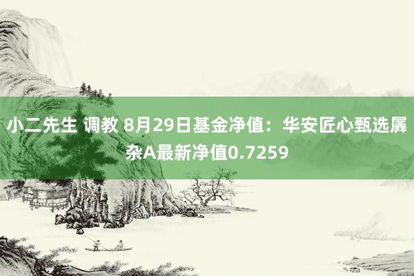   小二先生 调教 8月29日基金净值：华安匠心甄选羼杂A最新净值0.7259