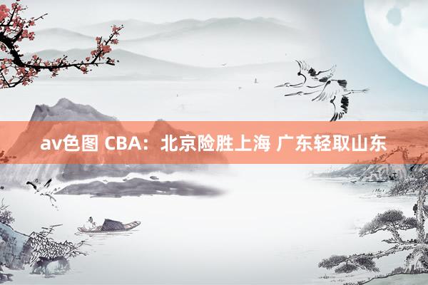 av色图 CBA：北京险胜上海 广东轻取山东