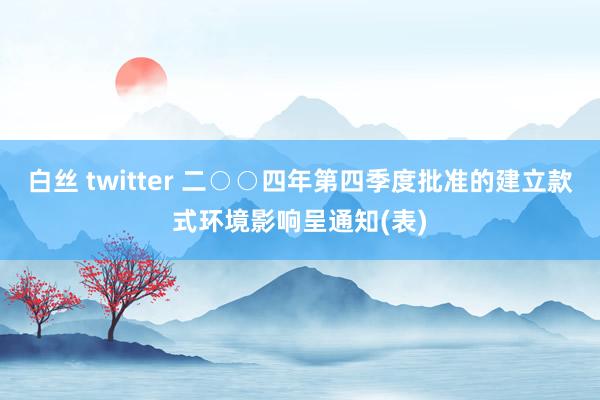 白丝 twitter 二○○四年第四季度批准的建立款式环境影响呈通知(表)