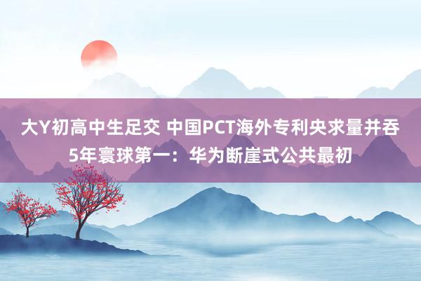   大Y初高中生足交 中国PCT海外专利央求量并吞5年寰球第一：华为断崖式公共最初