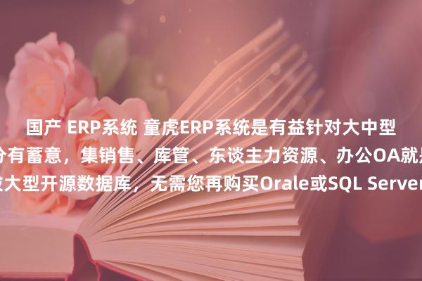 国产 ERP系统 童虎ERP系统是有益针对大中型企业而推出的