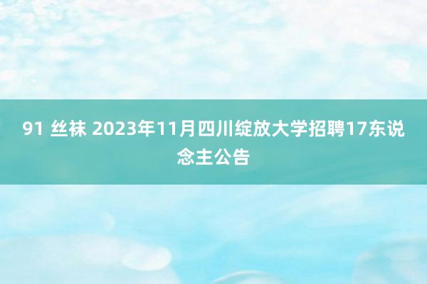 91 丝袜 2023年11月四川绽放大学招聘17东说念主公告