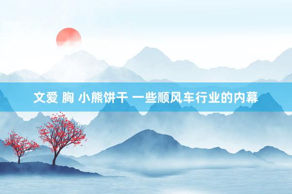   文爱 胸 小熊饼干 一些顺风车行业的内幕