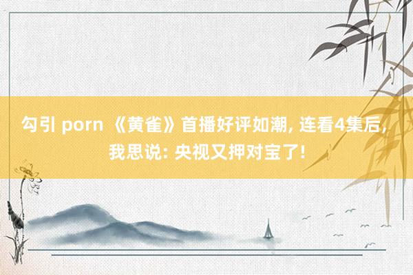   勾引 porn 《黄雀》首播好评如潮, 连看4集后, 我思说: 央视又押对宝了!